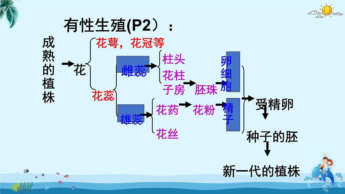 人教版八年级下册生物总复习课件第3页