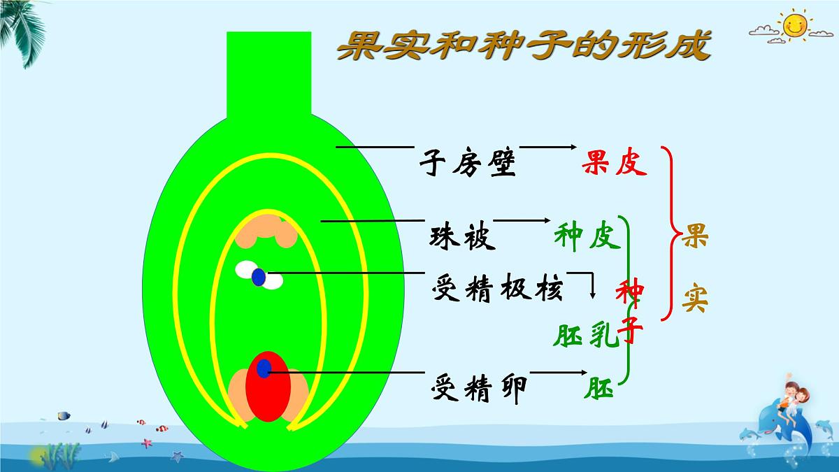 人教版八年级下册生物总复习课件第4页