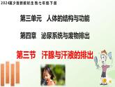 3.4.3  汗腺與汗液的排出 （課件 ）-2024-2025學(xué)年七年級(jí)生物下冊(cè)（冀少版2024）