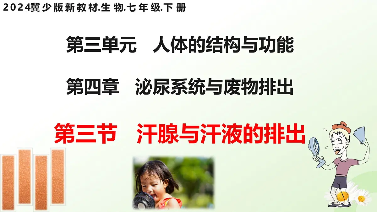 3.4.3 汗腺与汗液的排出 （课件 ）-2024-2025学年七年级生物下册（冀少版2024）第1页