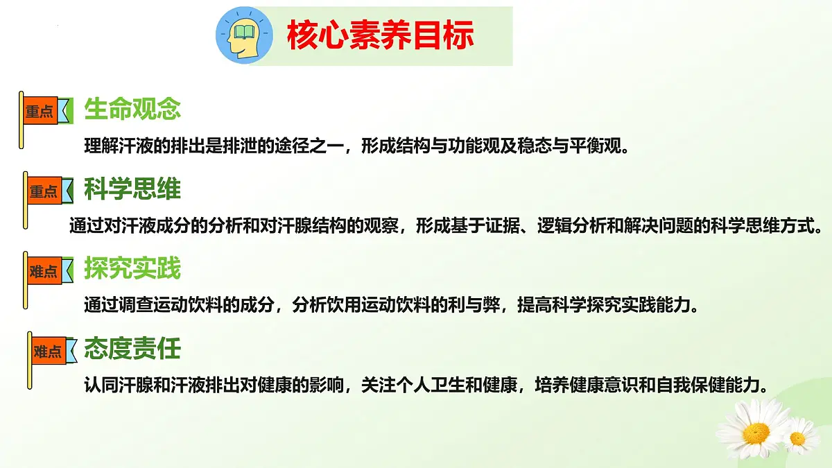 3.4.3 汗腺与汗液的排出 （课件 ）-2024-2025学年七年级生物下册（冀少版2024）第3页