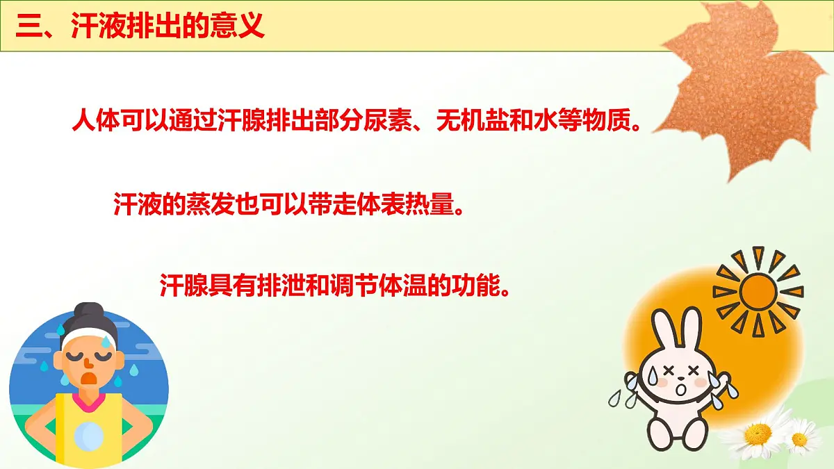 3.4.3 汗腺与汗液的排出 （课件 ）-2024-2025学年七年级生物下册（冀少版2024）第7页