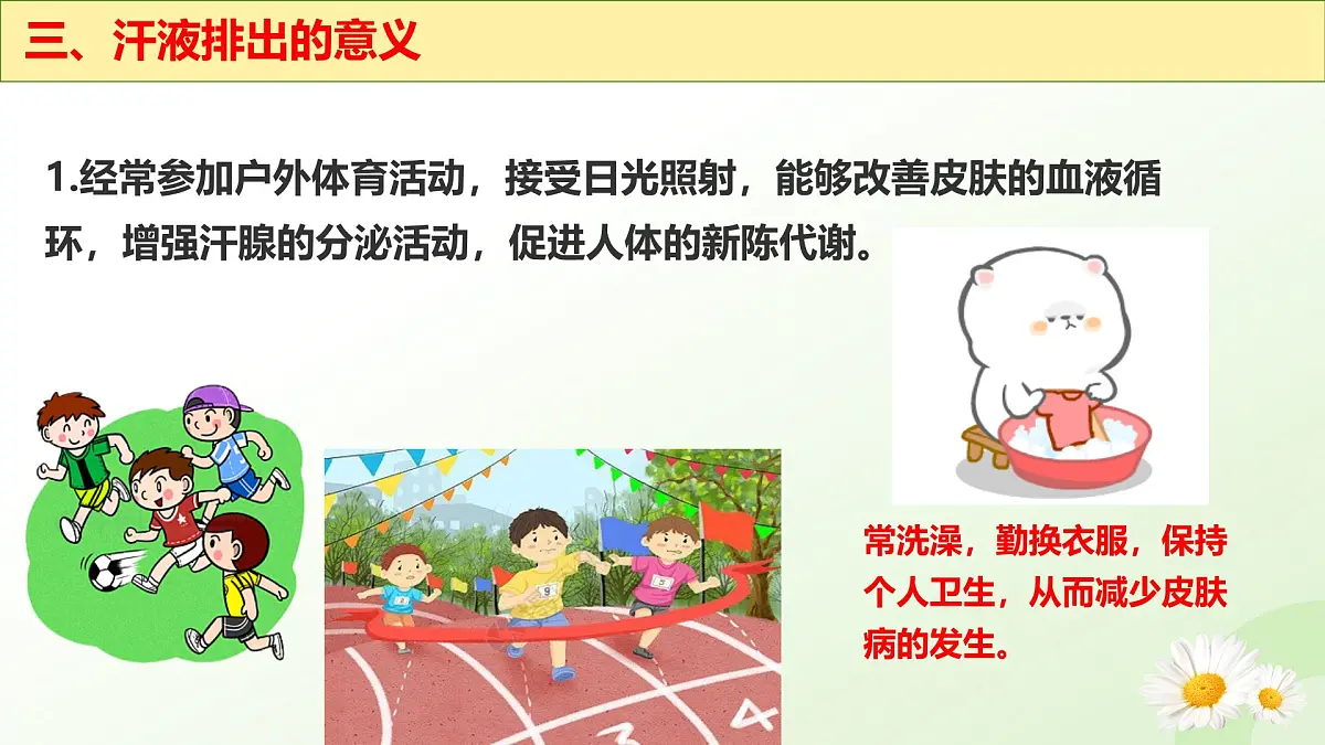 3.4.3 汗腺与汗液的排出 （课件 ）-2024-2025学年七年级生物下册（冀少版2024）第8页