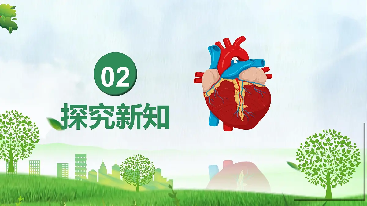 4.4.3 输送血液的泵——心脏（课件）-2024-2025学年七年级生物下册（人教版2024）第5页