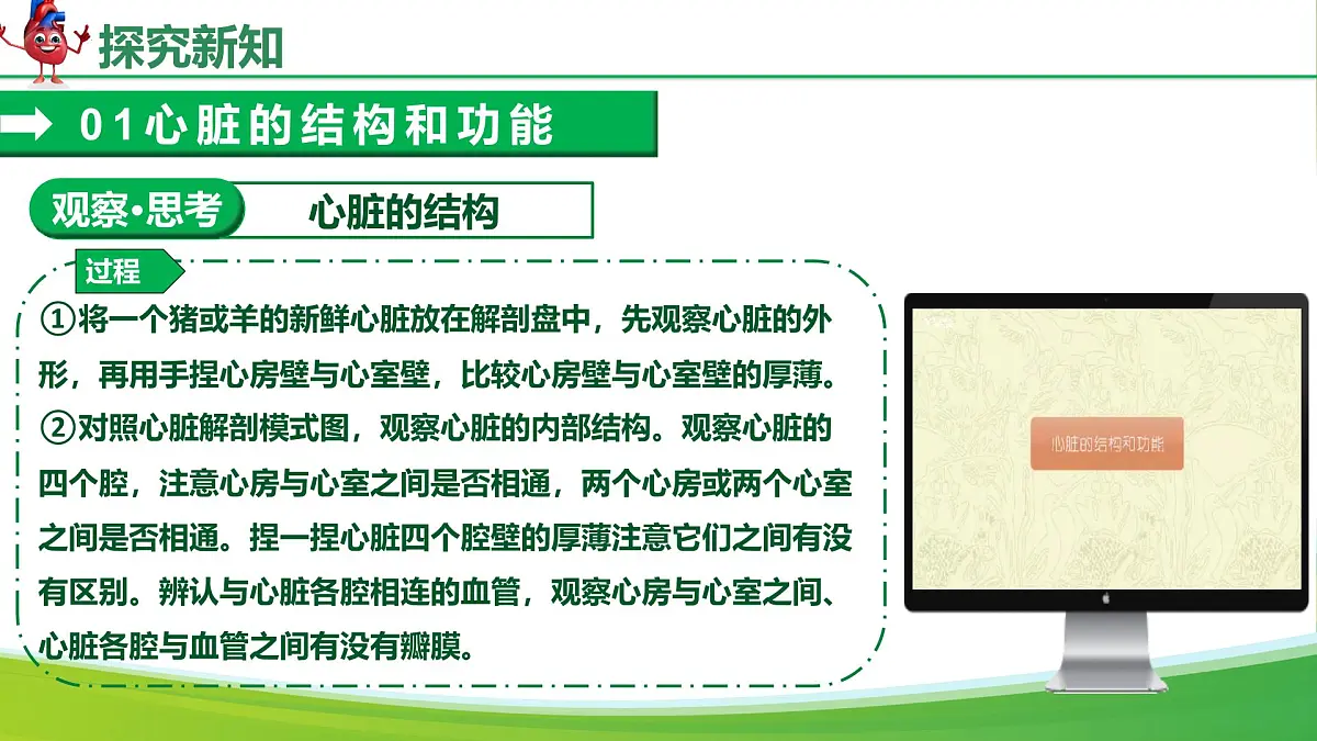 4.4.3 输送血液的泵——心脏（课件）-2024-2025学年七年级生物下册（人教版2024）第7页