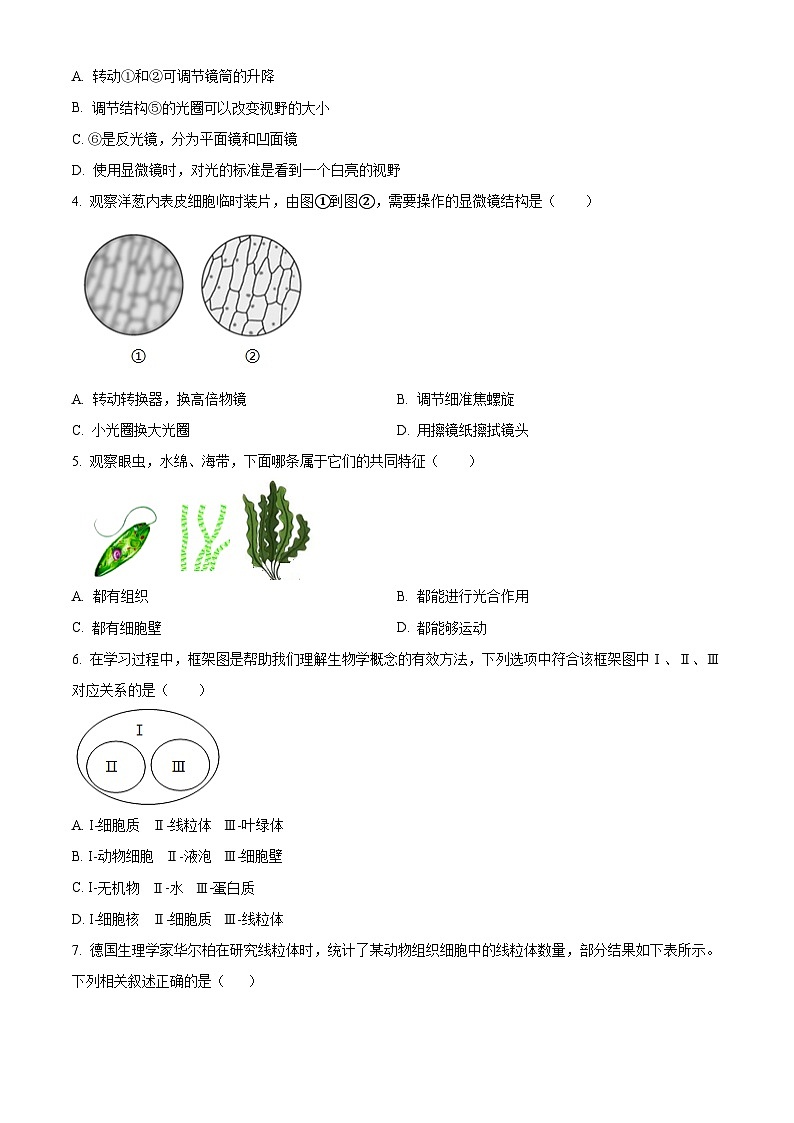 山东省日照市岚山区2024-2025学年七年级上学期期末生物试题（原卷版+解析版）第2页