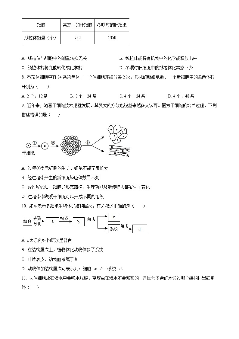 山东省日照市岚山区2024-2025学年七年级上学期期末生物试题（原卷版+解析版）第3页