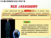 3.5.1 神經(jīng)系統(tǒng)的組成 （課件）-2024-2025學(xué)年七年級(jí)生物下冊(cè)（冀少版2024）