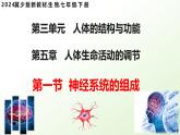 3.5.1 神經(jīng)系統(tǒng)的組成 （課件）-2024-2025學(xué)年七年級(jí)生物下冊(cè)（冀少版2024）