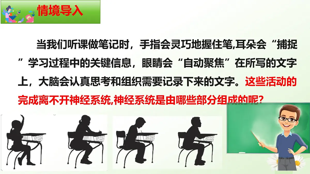 3.5.1 神经系统的组成 （课件）-2024-2025学年七年级生物下册（冀少版2024）第3页