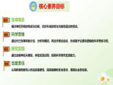 3.5.1 神經(jīng)系統(tǒng)的組成 （課件）-2024-2025學(xué)年七年級(jí)生物下冊(cè)（冀少版2024）