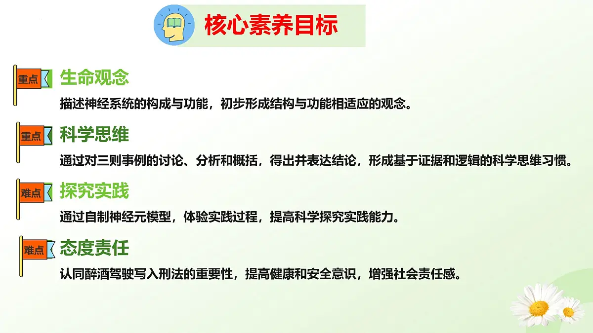 3.5.1 神经系统的组成 （课件）-2024-2025学年七年级生物下册（冀少版2024）第4页