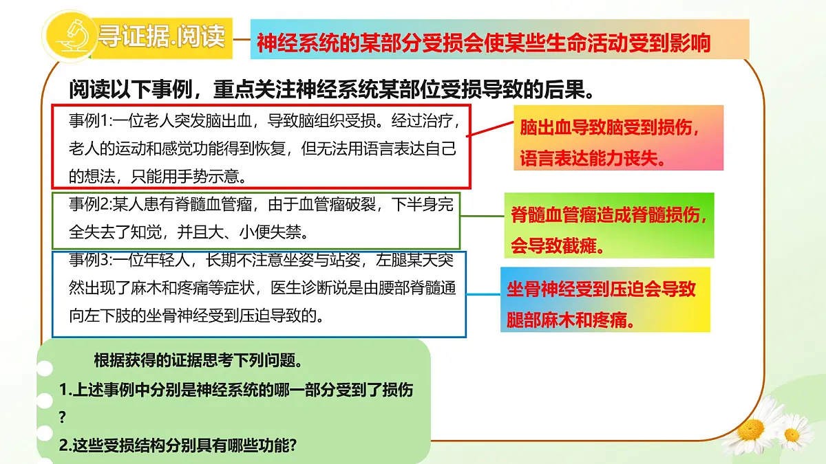 3.5.1 神经系统的组成 （课件）-2024-2025学年七年级生物下册（冀少版2024）第5页