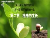 3.1.2 植株的生长 课件-2024-2025学年人教版生物七年级下册