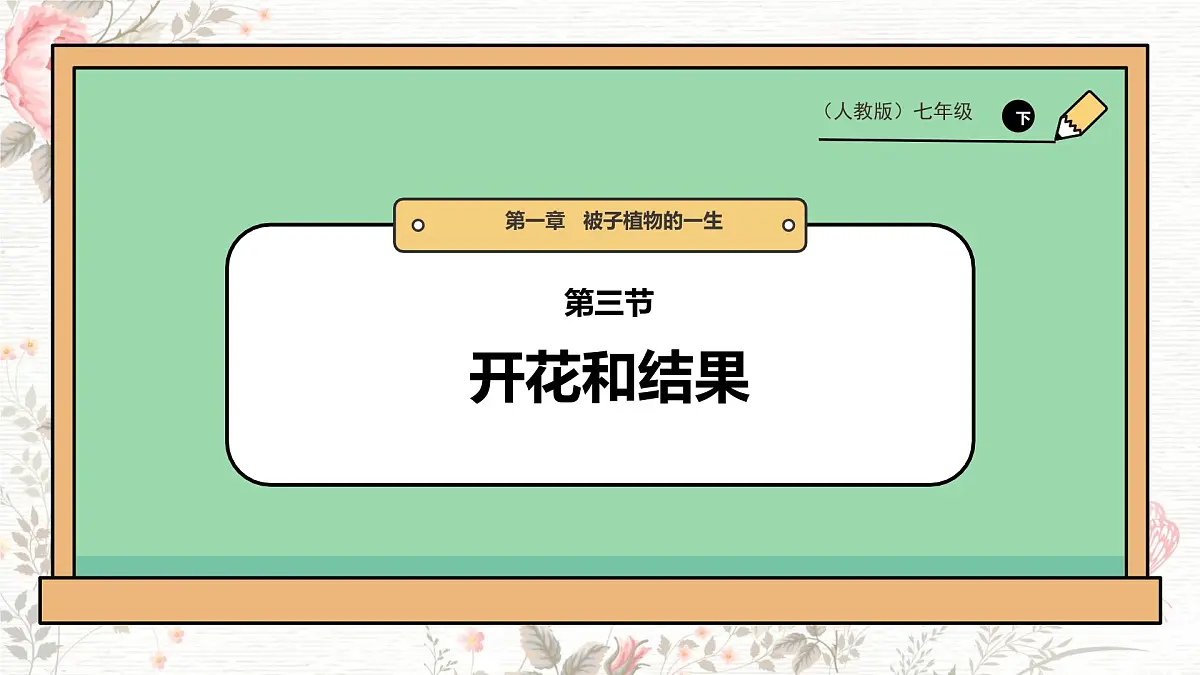 3.1.3 开花和结果 课件-2024-2025学年人教版生物七年级下册第1页