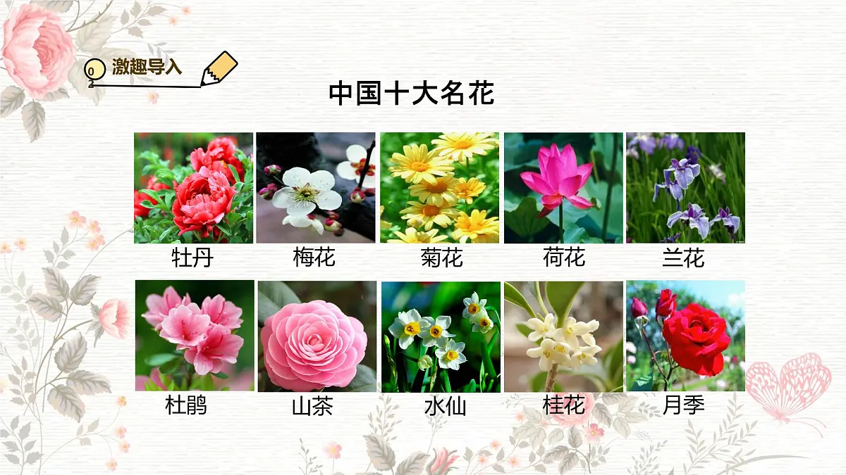 3.1.3 开花和结果 课件-2024-2025学年人教版生物七年级下册第3页