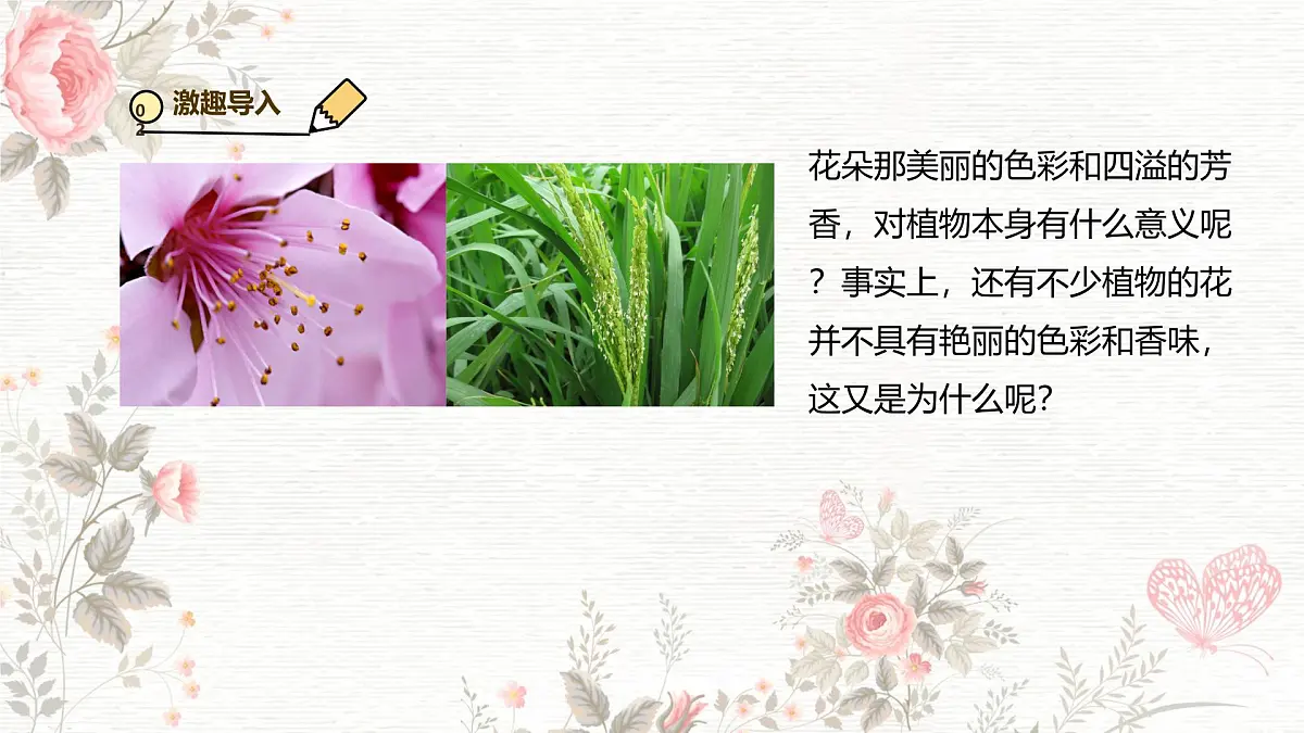 3.1.3 开花和结果 课件-2024-2025学年人教版生物七年级下册第4页