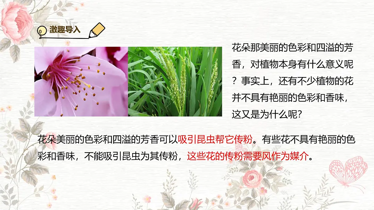 3.1.3 开花和结果 课件-2024-2025学年人教版生物七年级下册第5页
