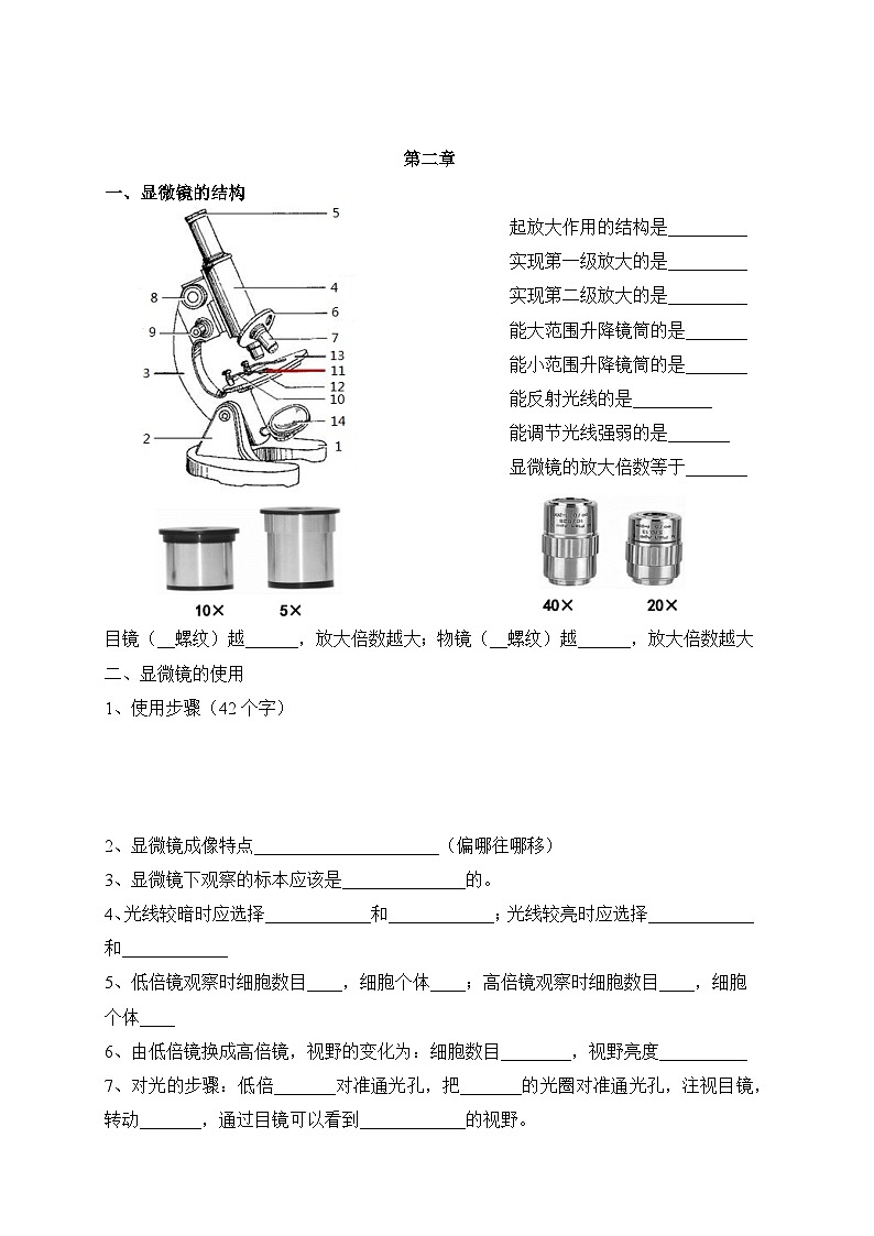 2025年中考生物一轮复习：七八年级知识点考点提纲真空练习版（无答案）第2页
