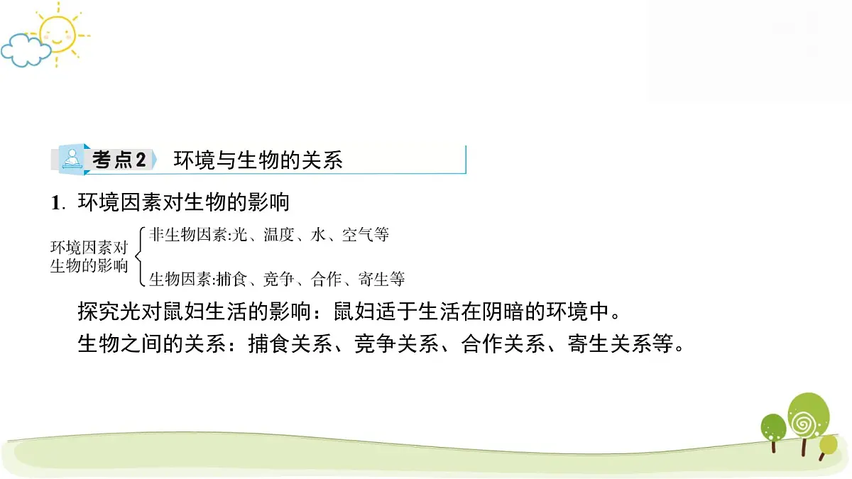 2025年中考生物专题复习课件：生态系统第4页