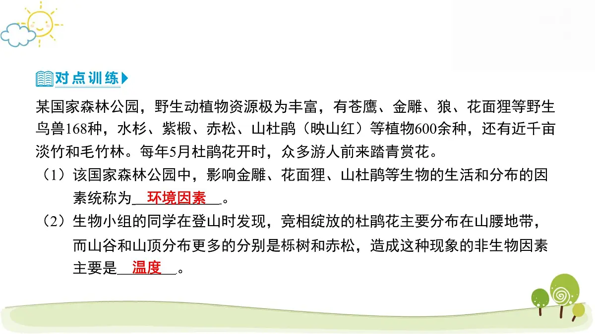 2025年中考生物专题复习课件：生态系统第7页
