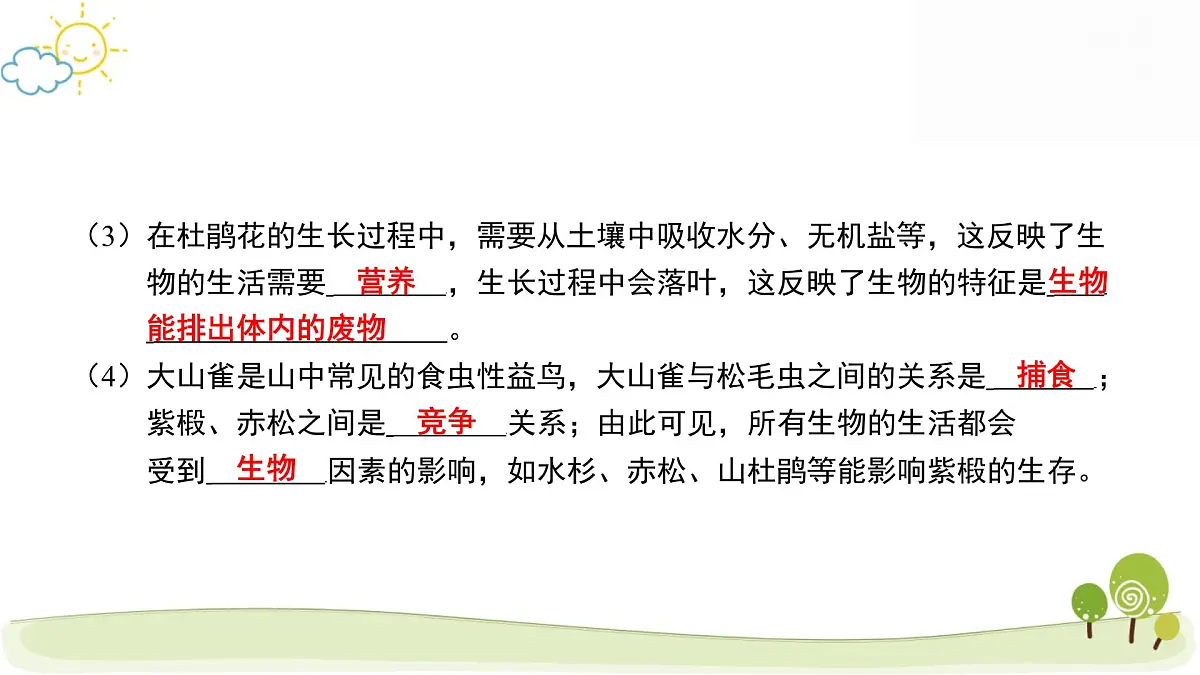 2025年中考生物专题复习课件：生态系统第8页