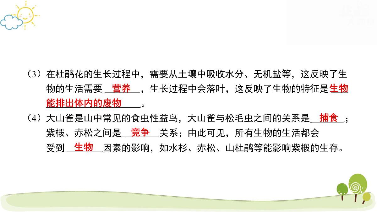 2025年中考生物专题复习课件：生态系统第8页