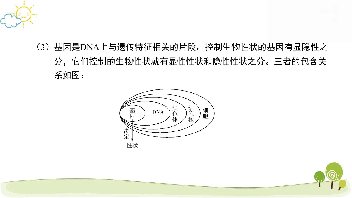 2025年中考生物专题复习：生物的遗传与变异 课件第6页