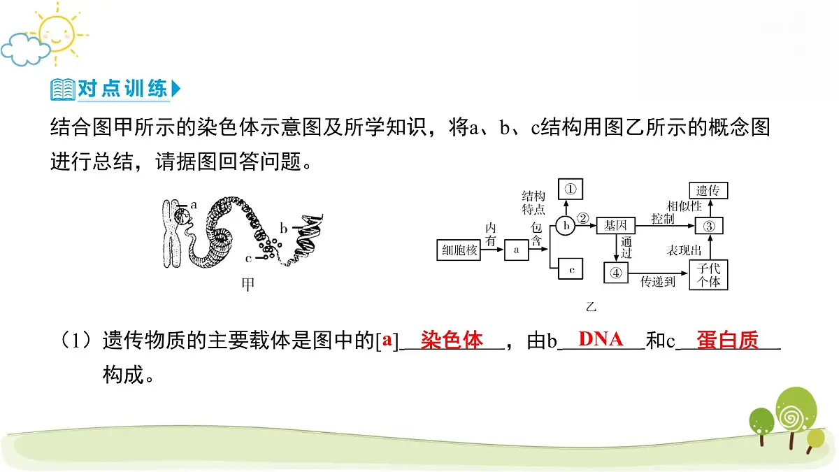2025年中考生物专题复习：生物的遗传与变异 课件第8页