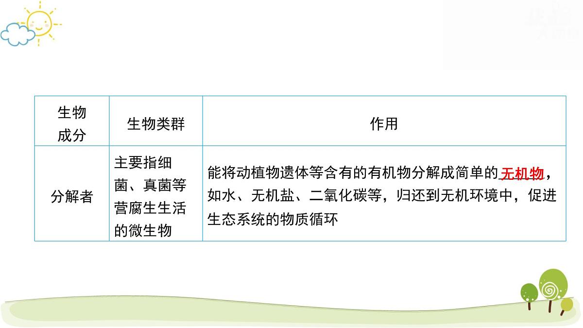 2025年中考生物专题复习：生态系统 课件第5页