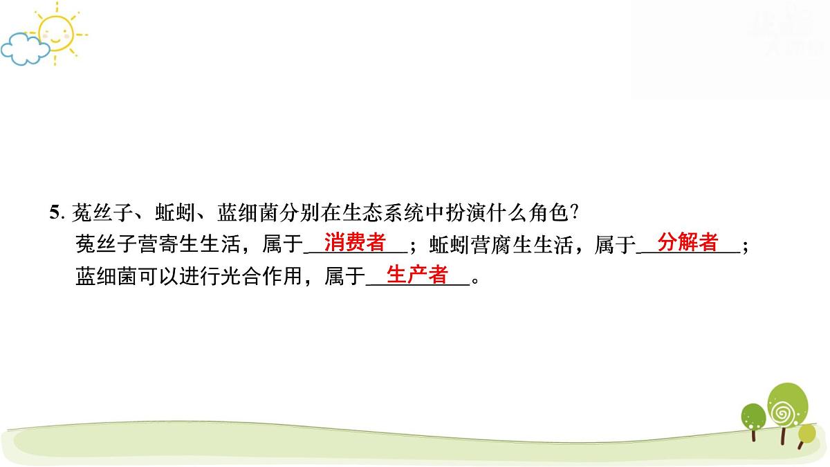 2025年中考生物专题复习：生态系统 课件第7页