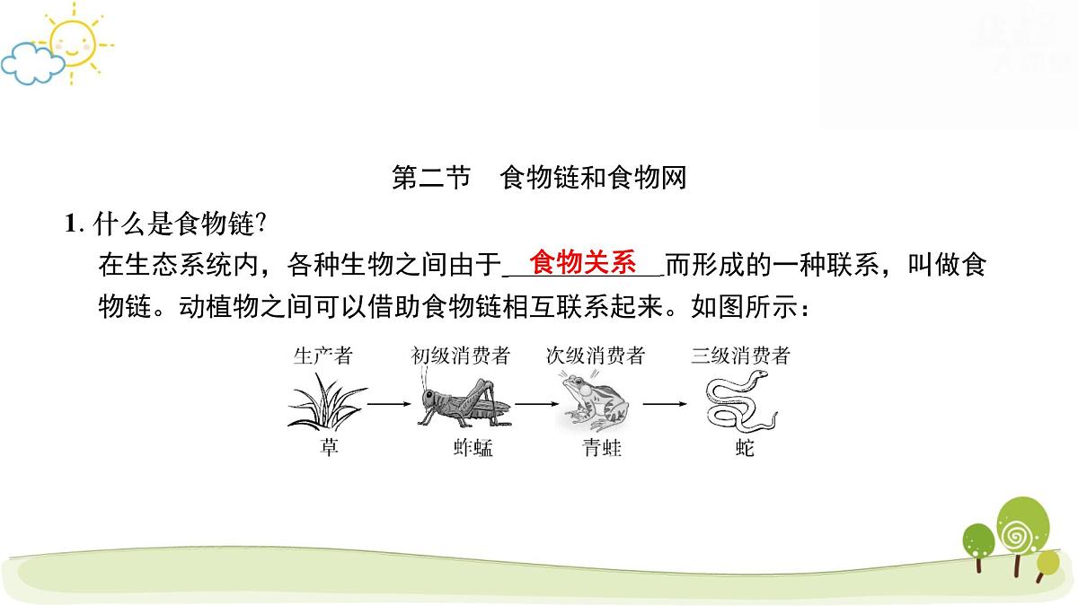 2025年中考生物专题复习：生态系统 课件第8页