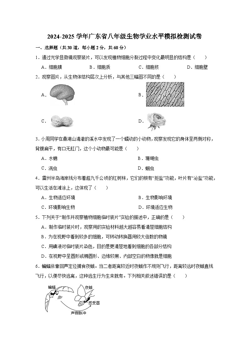 2024-2025学年广东省八年级生物学业水平模拟检测试卷（附答案）第1页