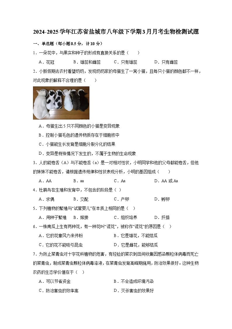 2024-2025学年江苏省盐城市八年级下册3月月考生物检测试题（附答案）第1页
