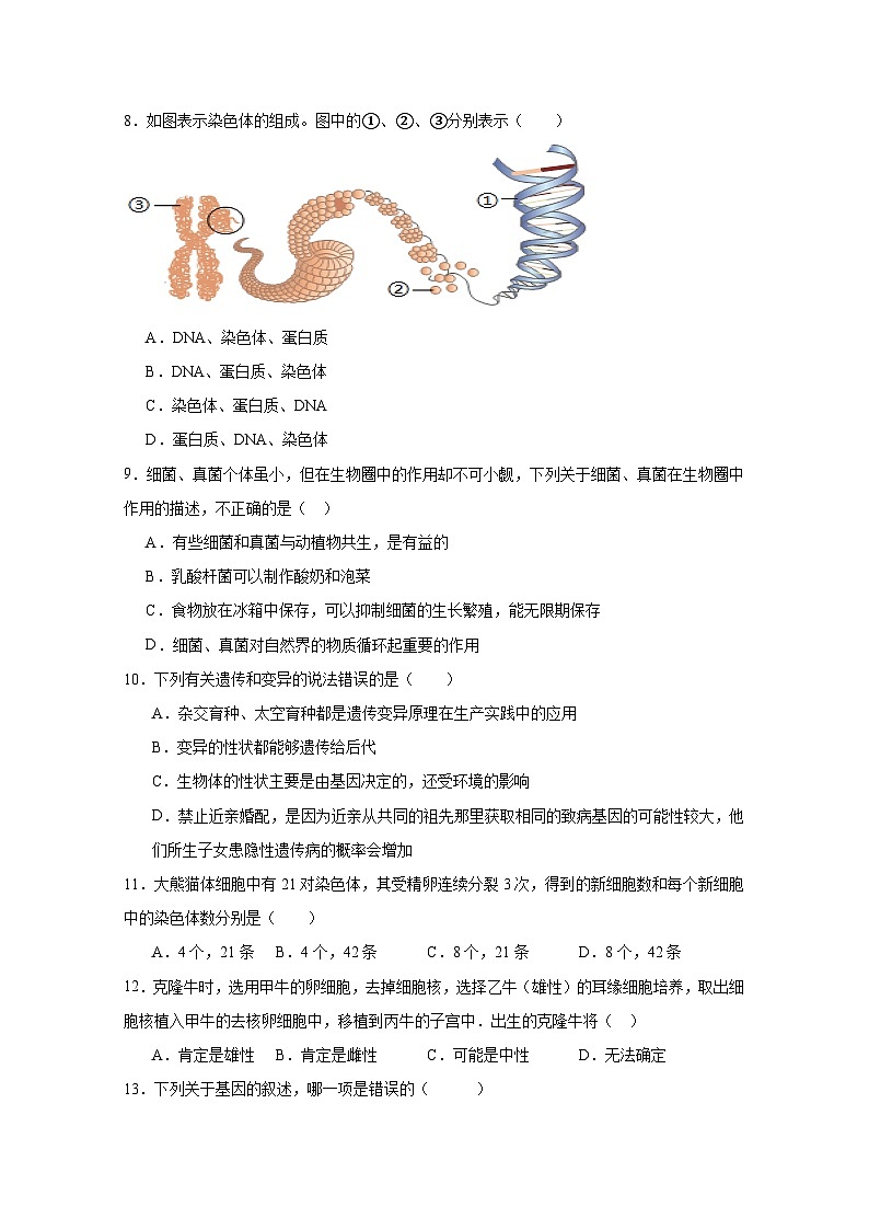 2024-2025学年江苏省盐城市八年级下册3月月考生物检测试题（附答案）第2页