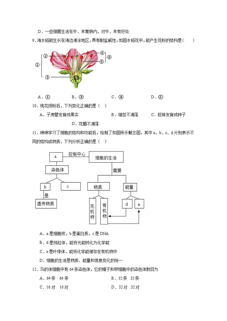 2024-2025学年江苏省盐城市阜宁县八年级下册3月月考生物检测试题（附答案）第2页