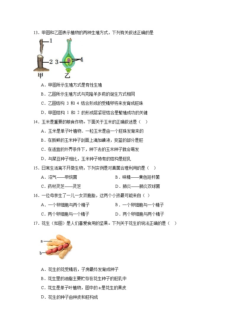 2024-2025学年江苏省盐城市阜宁县八年级下册3月月考生物检测试题（附答案）第3页