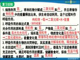 人教版初中生物七下第三單元 第二章第四節(jié)《植物在自然界中的作用》 PPT課件