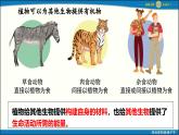 人教版初中生物七下第三單元 第二章第四節(jié)《植物在自然界中的作用》 PPT課件