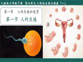4.1.1 人的生殖 2025學(xué)年七年級生物下冊優(yōu)質(zhì)課件+教學(xué)設(shè)計（人教版2024）