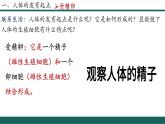 4.1.1 人的生殖 2025學(xué)年七年級生物下冊優(yōu)質(zhì)課件+教學(xué)設(shè)計（人教版2024）