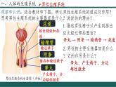 4.1.1 人的生殖 2025學(xué)年七年級生物下冊優(yōu)質(zhì)課件+教學(xué)設(shè)計（人教版2024）
