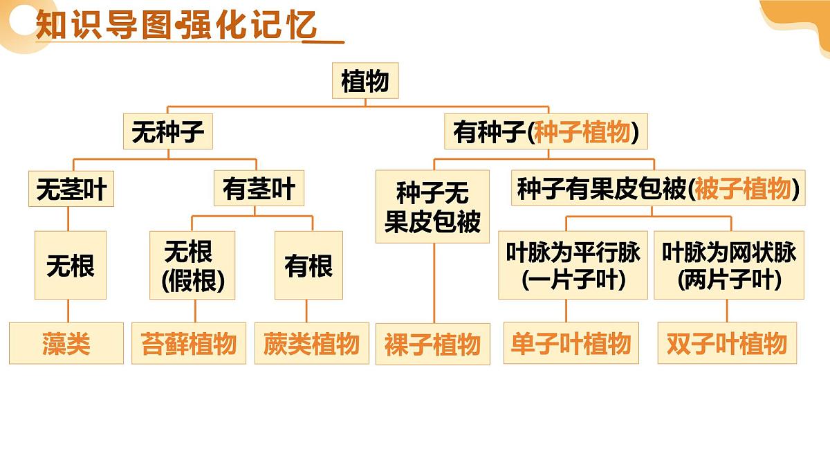 主题二 生物的多样性（二轮突破课件）2025年中考生物二轮复习讲练测（江苏专用）第4页