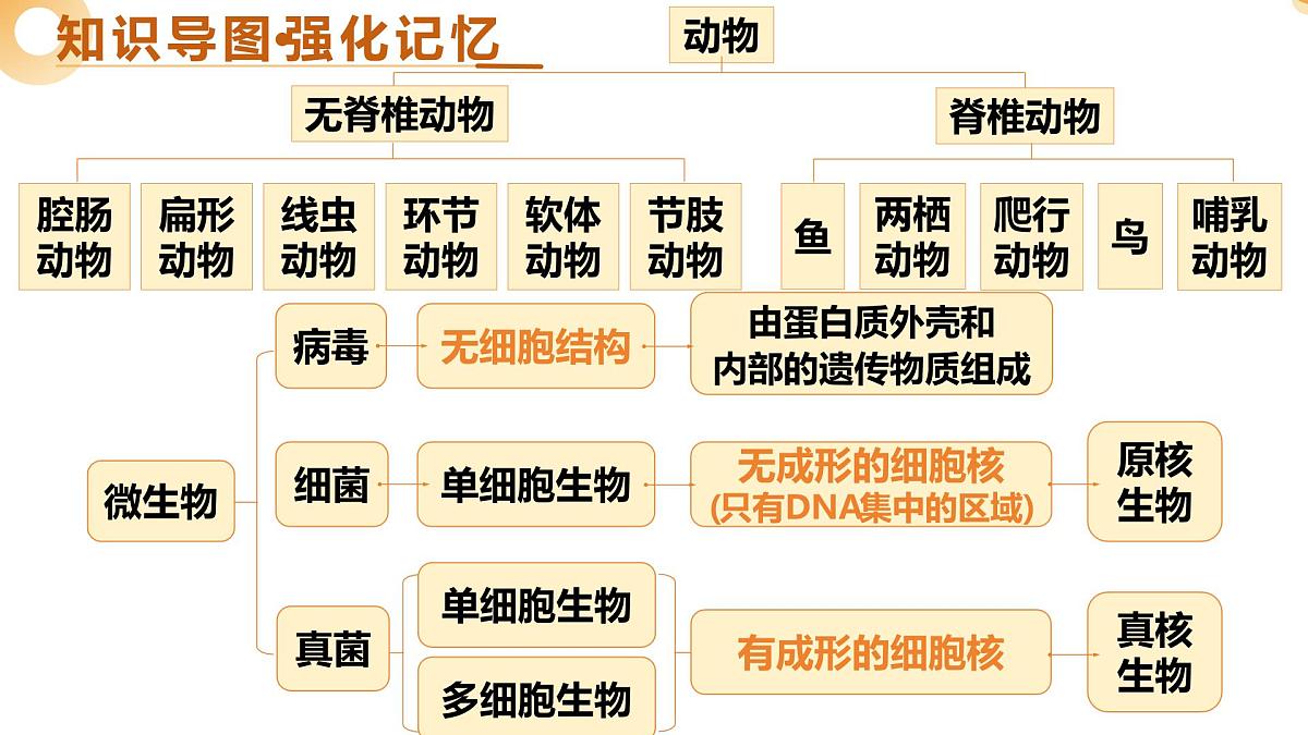 主题二 生物的多样性（二轮突破课件）2025年中考生物二轮复习讲练测（江苏专用）第5页