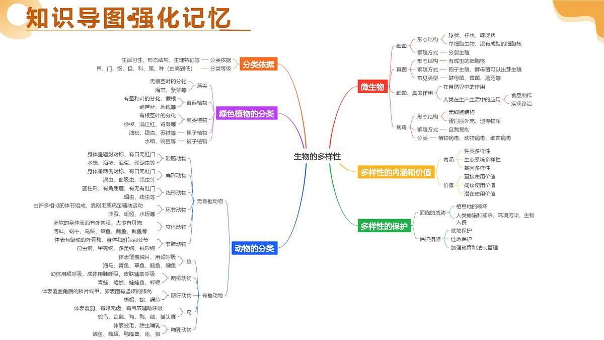 主题二 生物的多样性（二轮突破课件）2025年中考生物二轮复习讲练测第4页