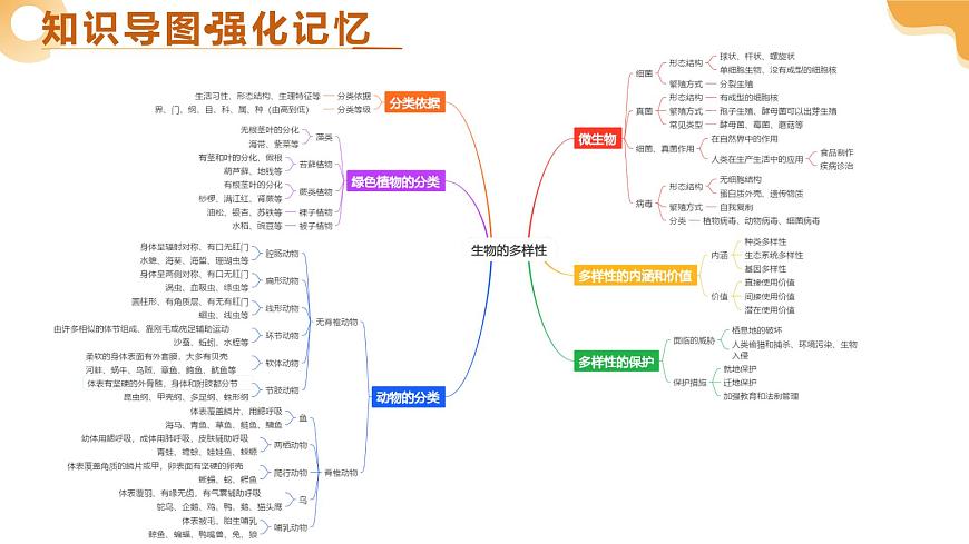 主题二 生物的多样性（二轮突破课件）2025年中考生物二轮复习讲练测第4页