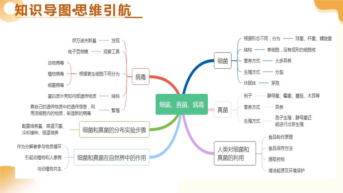 第19讲 细菌真菌和病毒（精讲课件）2025年中考生物一轮复习讲练测（山东专用）第4页