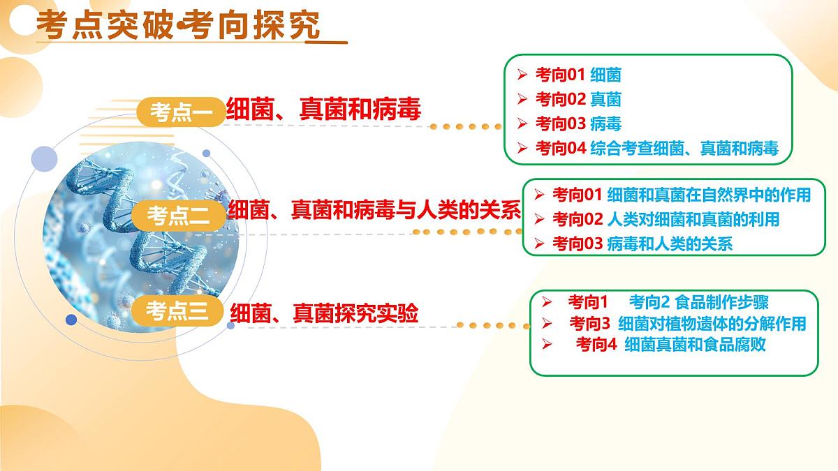 第19讲 细菌真菌和病毒（精讲课件）2025年中考生物一轮复习讲练测（山东专用）第5页