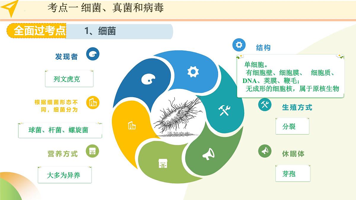 第19讲 细菌真菌和病毒（精讲课件）2025年中考生物一轮复习讲练测（山东专用）第6页