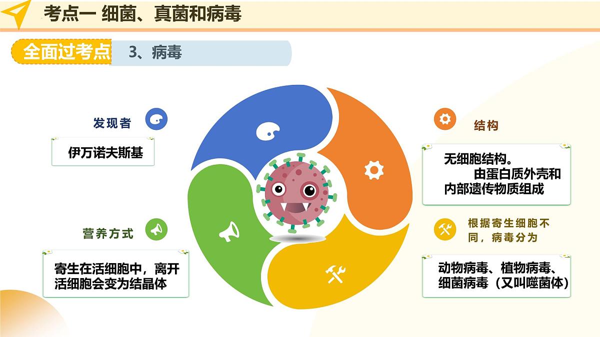 第19讲 细菌真菌和病毒（精讲课件）2025年中考生物一轮复习讲练测（山东专用）第8页